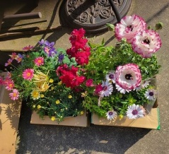 ぽかぽか三連休、裏庭の手入れと早春の芝刈り