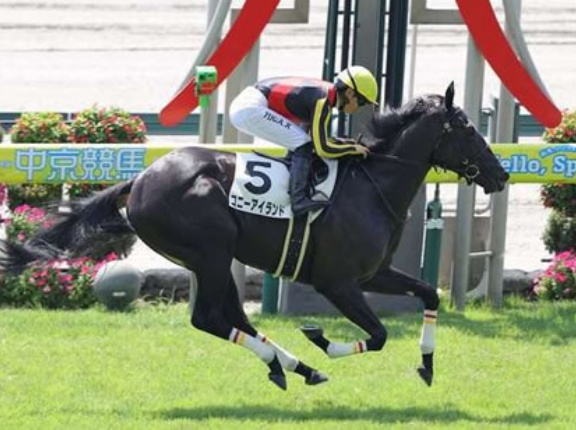 コントレイルが種牡馬として普通に成功しそうでビビったやつ