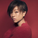 【画像】宇多田ヒカルさん「『ドラゴンボール』を読んでたら、とんでもない発見したんだけどDBファンは知ってるのかな？」　→　ガチですごい発見で5万いいね突破ｗｗｗｗ