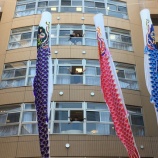 『屋根より低い🎏⁉️』の画像