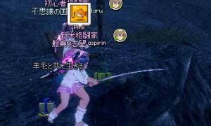 スカアハの釣り場は安全です※