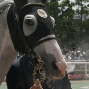 推し馬のゴコウコイコイちゃんが引退