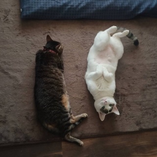 moroのハンドメイド