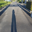 7月29日(火)