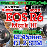 Canon RF 45mm f/1.2 STM