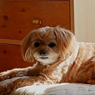 ちょいイタおやじ