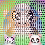 『ピンクの＋模様が・・・』の画像
