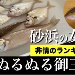 blue tetristの釣りノート