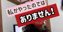 ４個パックがジャストサイズ。