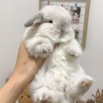 うのくらし