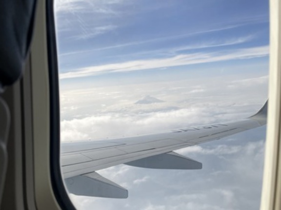 諦めていたら… 又会えた！