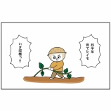 『米が高いので芋を育ててみる④』の画像
