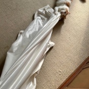 カーテンを洗おうとすると猫がついてくる！？