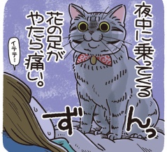 やるなら、確実にやる花。