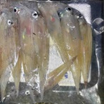 シーバス&ライトゲームな日々