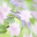 楽しんだら、良し。