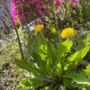 【あたためてきた曲たち】