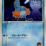 豚小屋ポケモンカード -ポケカブタ-