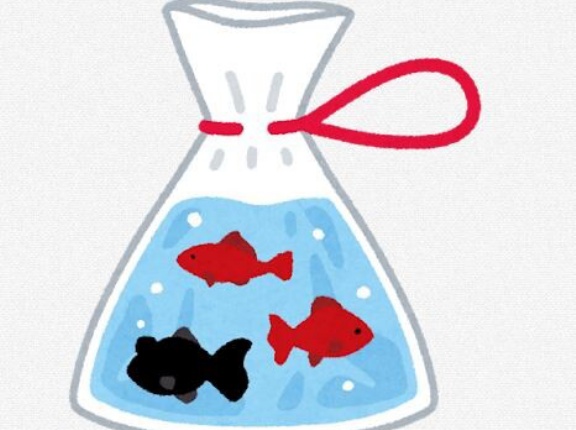 金魚の様子がおかしいんやが