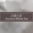古樹白茶