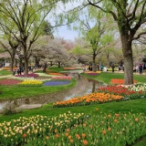 【画像】都内の公園・庭園などの画像を貼ってく
