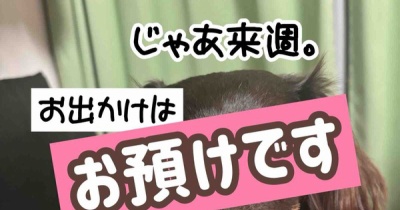 お出かけ日和だけど…。