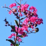 『老いの覚悟と生き方Ⅱ(5650回記念)(32)「80歳の壁・実践編(1)」』の画像