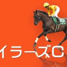 マイラーズＣ(G2)【掟破りの金になる話】