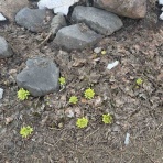 ホープ共同作業所のblog