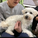 土日は沢山のお見合いがありました👌💕💕