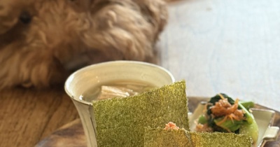 朝から贅沢な鮭たっぷりおにぎり。楽天SSで半額！？