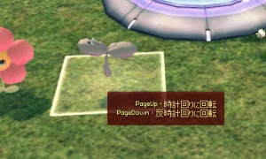 シードエクストラミニチュア…顔が上向き