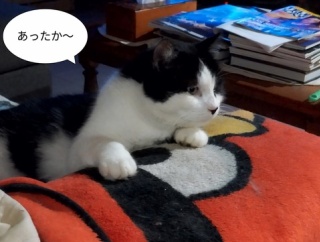 ビ、ビビちゃんってば