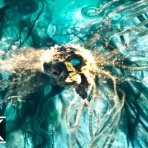 Divergent =翻訳を再定義する=