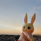 夕焼け