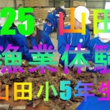 『山田小5年生の漁業体験』の画像