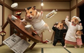 【日本共産党】母親がしんぶん赤旗を購読すると言った結果ｗｗｗｗｗｗｗｗｗｗ