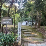 『【橿原市畝傍町】橿原神宮敷地内 イトクの森古墳の墳丘の上に立つ池田神社』の画像