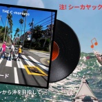 三浦ｄｅシーカヤック sea to summit
