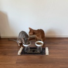 横取りひめちゃん