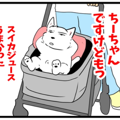 ちーちゃんっ🐾