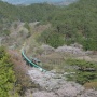 南東北桜めぐり その2:水郡線矢祭山
