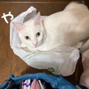 ＊マーガレット再び