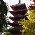 三毛ジャガーの物欲日記