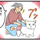 🐶 お客さんの前でも屁をこく!? シニア犬ちいちゃんのおならとお腹が緩い原因・病院に行く目安まとめ