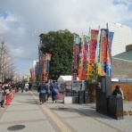 猪八戒の自由日記