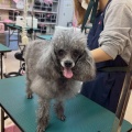�Ƶ٤���γر�🐶