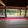 「そうだ！山口へ行こう！」⑦ まさかの贅沢。雪舟庭を独り占めし、京都・竜安寺の記憶とシンクロする夕暮れ。