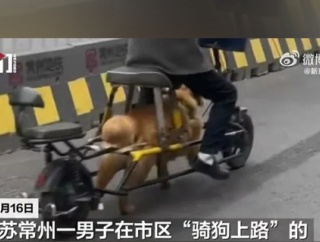 【悲報】イッヌさん、バイクに改造されてしまう…