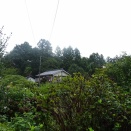 和田左京亮屋敷（武蔵国・東京都青梅市和田２丁目）